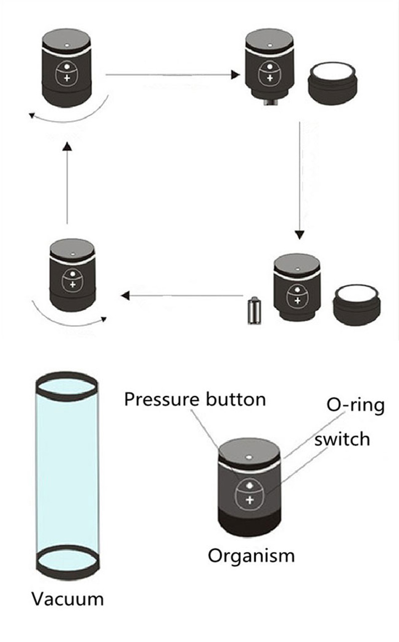 may-tap-to-duong-vat-bom-tu-dong-louge-9
